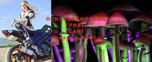 амф Бронницы