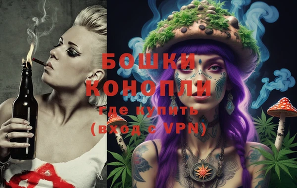 амф Бронницы
